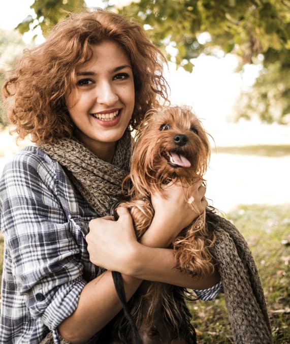 Solid Color Bedsheet